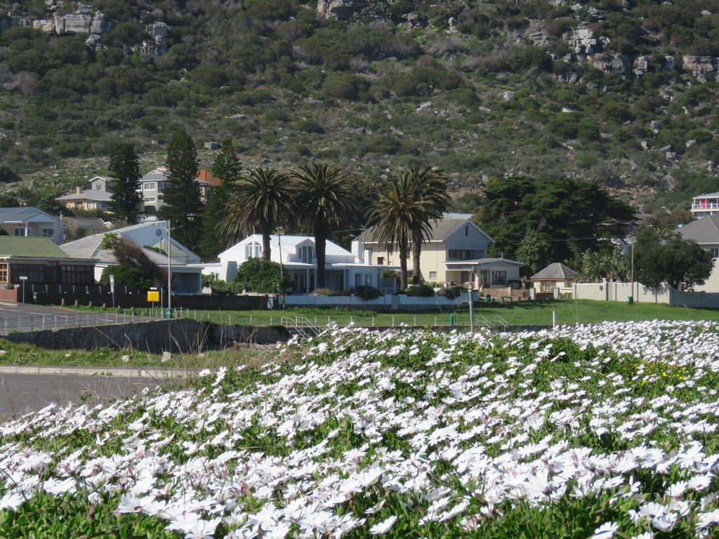Palm Villa Cottage Kommetjie Exteriér fotografie