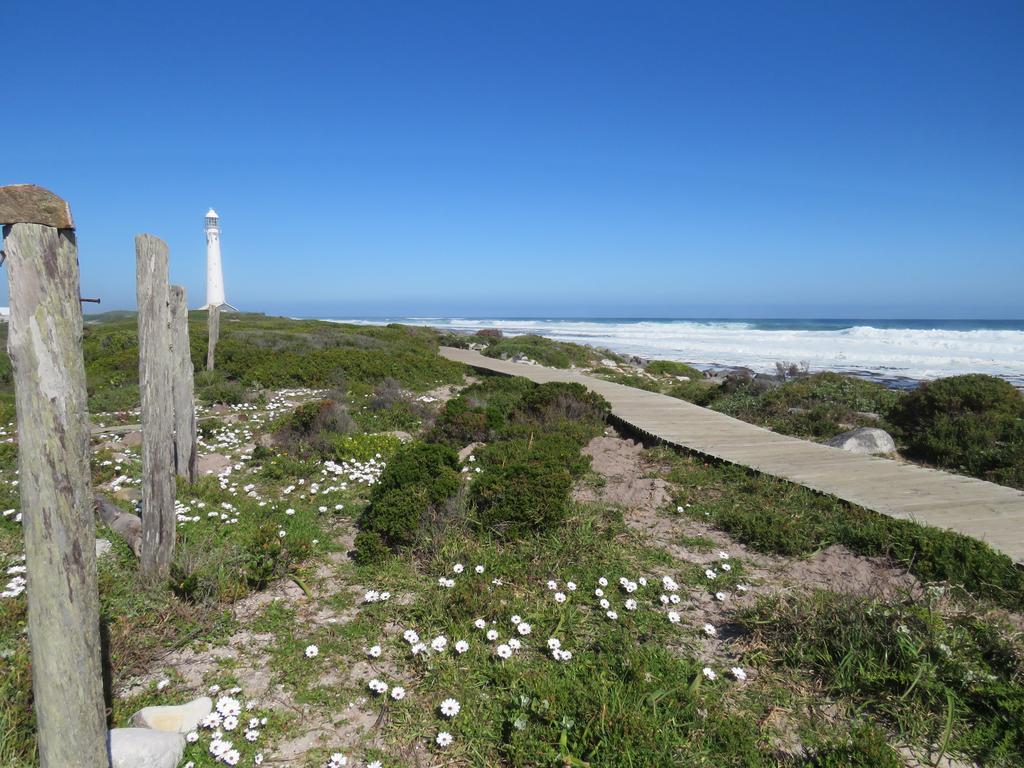 Palm Villa Cottage Kommetjie Exteriér fotografie