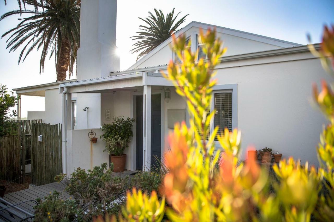 Palm Villa Cottage Kommetjie Exteriér fotografie